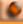 wp157bdc83.png