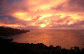 wp78381cb8_1b.jpg