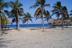 wpefc25512.jpg